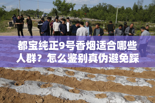 都宝纯正9号香烟适合哪些人群？怎么鉴别真伪避免踩坑？